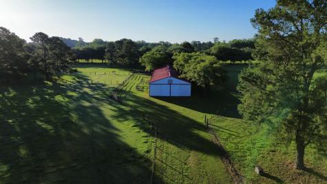 701 Truluck Vineyard Road Lake City SC 29560