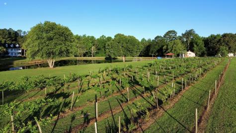 701 Truluck Vineyard Road Lake City SC 29560