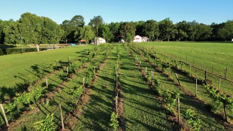 701 Truluck Vineyard Road Lake City SC 29560