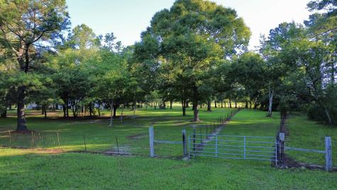 701 Truluck Vineyard Road Lake City SC 29560