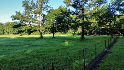 701 Truluck Vineyard Road Lake City SC 29560