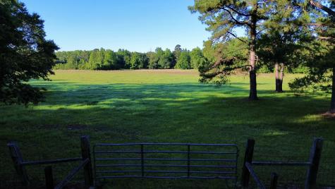 701 Truluck Vineyard Road Lake City SC 29560