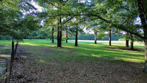 701 Truluck Vineyard Road Lake City SC 29560