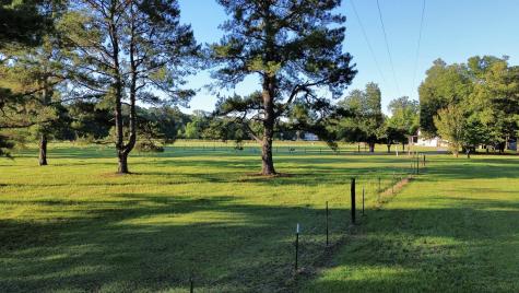 701 Truluck Vineyard Road Lake City SC 29560