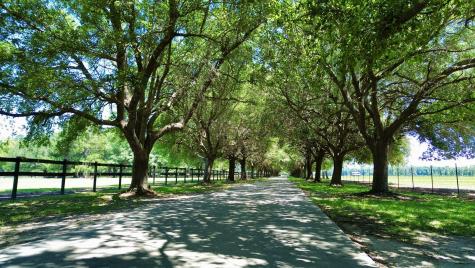 701 Truluck Vineyard Road Lake City SC 29560