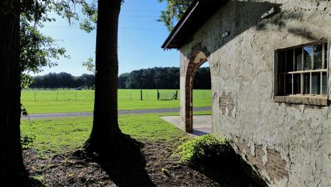 701 Truluck Vineyard Road Lake City SC 29560
