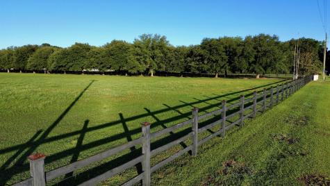 701 Truluck Vineyard Road Lake City SC 29560
