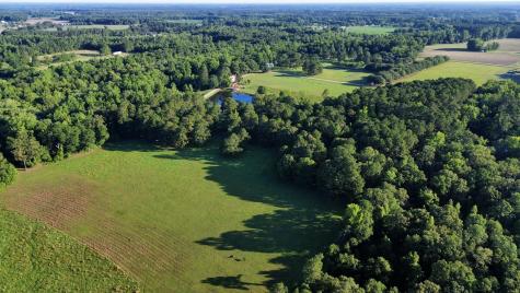701 Truluck Vineyard Road Lake City SC 29560