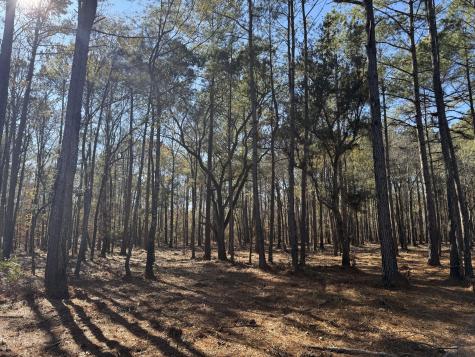 263 Brewer Road Summerville SC 29483