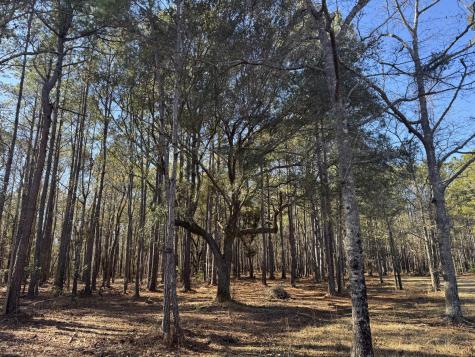 263 Brewer Road Summerville SC 29483