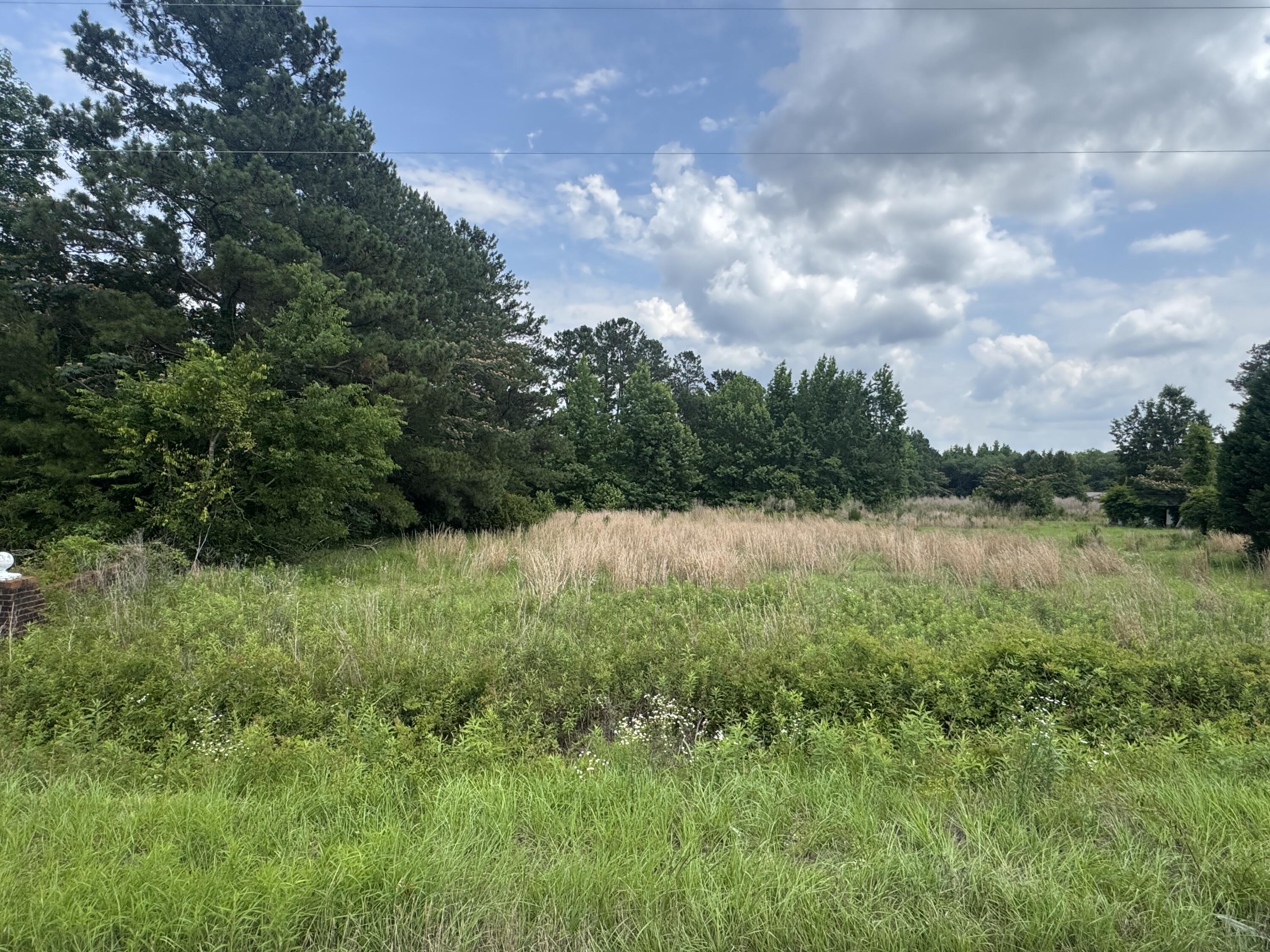 135 Avacodo Drive Santee SC 29142