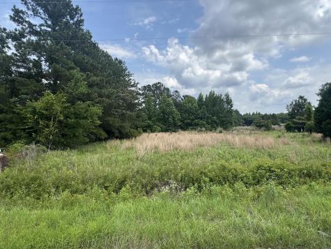 135 Avacodo Drive Santee SC 29142