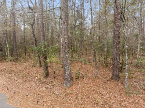 117 Cherrywood Drive Summerville SC 29483