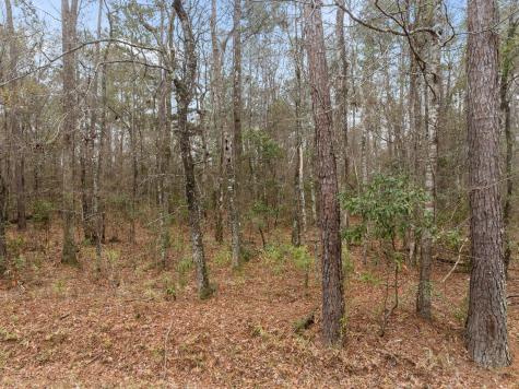 117 Cherrywood Drive Summerville SC 29483