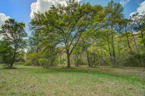 5865 Octavia Ravenel SC 29470
