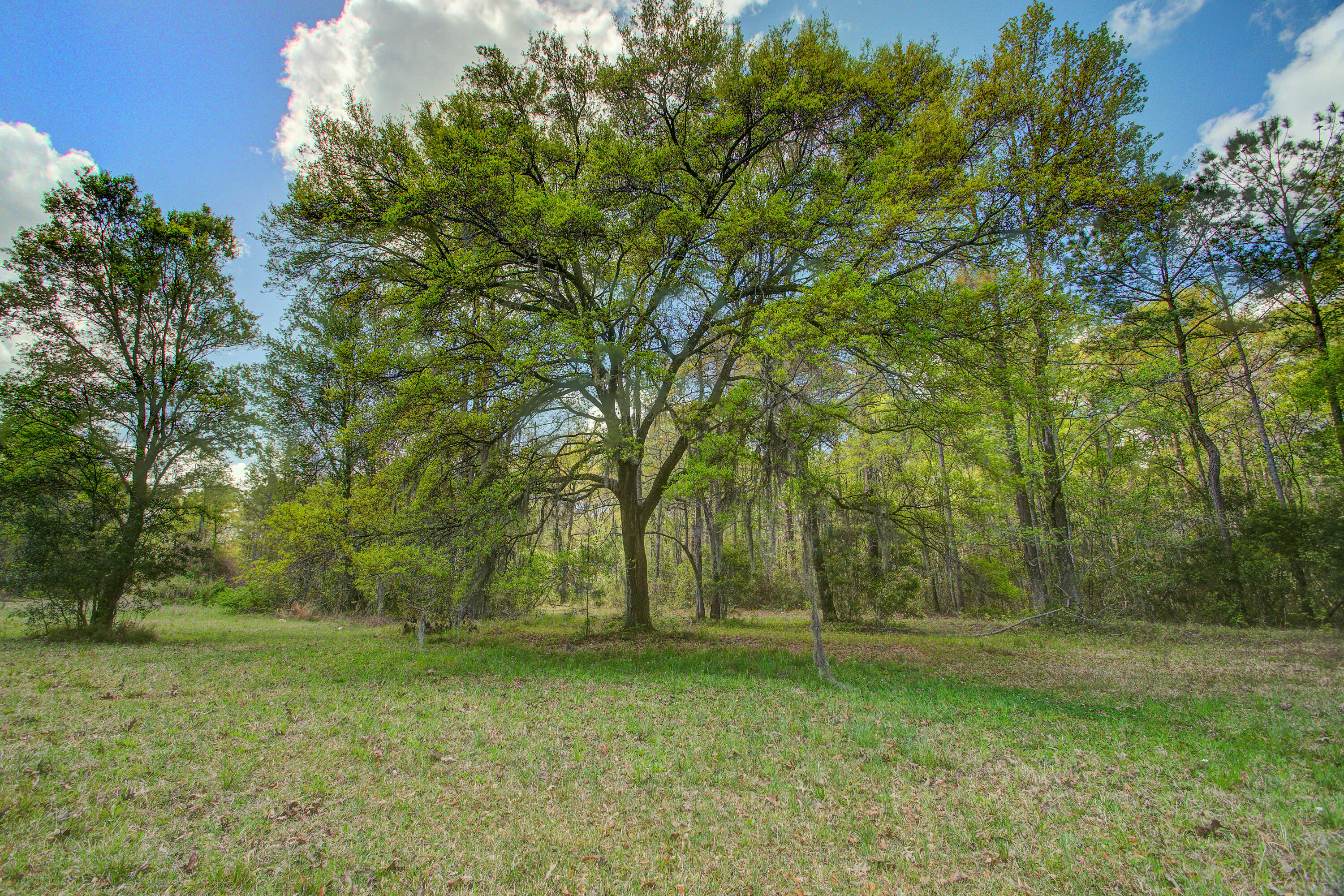5865 Octavia Ravenel SC 29470