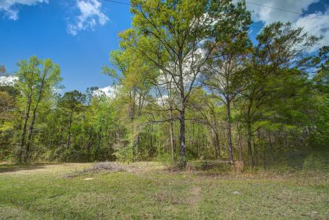 5865 Octavia Ravenel SC 29470