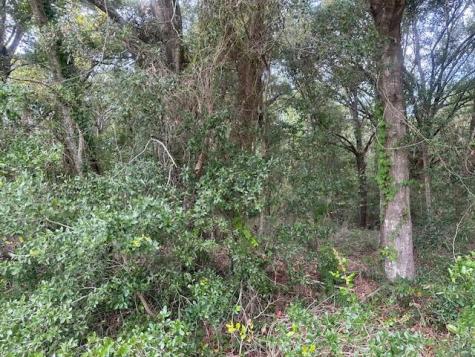1236 Seaside Road Saint Helena Island SC 29920