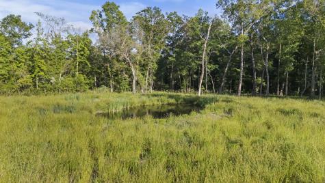 5339 Highway 162 Hollywood SC 29449