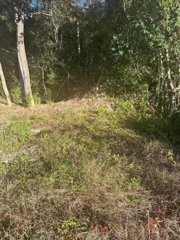 220 N Highway 52 Moncks Corner SC 29461