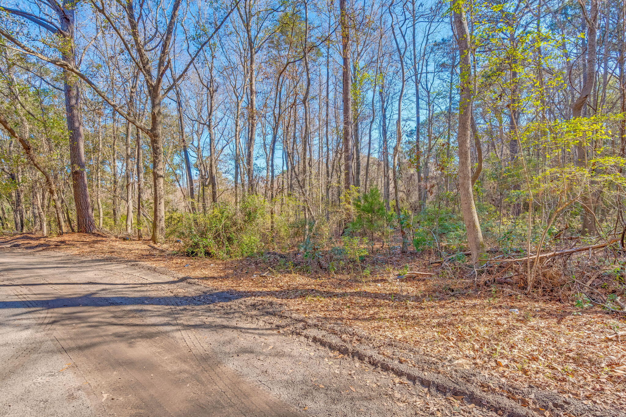 3149 Thomas Jones Road Johns Island SC 29455