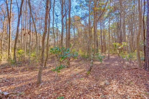 3149 Thomas Jones Road Johns Island SC 29455