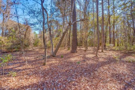 3149 Thomas Jones Road Johns Island SC 29455