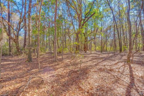 3149 Thomas Jones Road Johns Island SC 29455