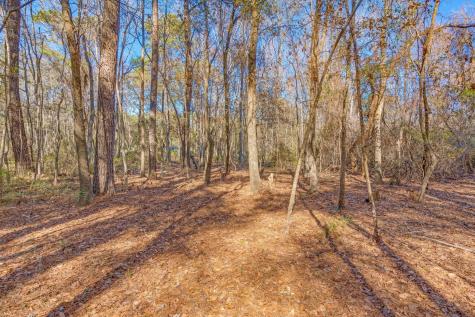 3149 Thomas Jones Road Johns Island SC 29455