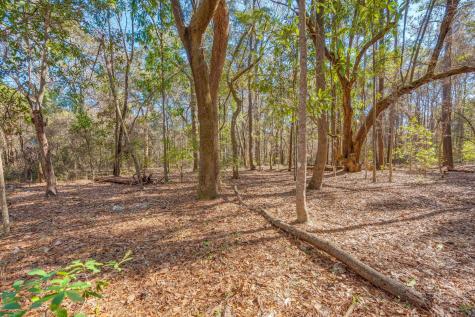 3149 Thomas Jones Road Johns Island SC 29455