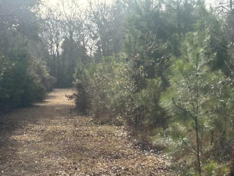 1 Old Jacksonboro Road Ravenel SC 29470