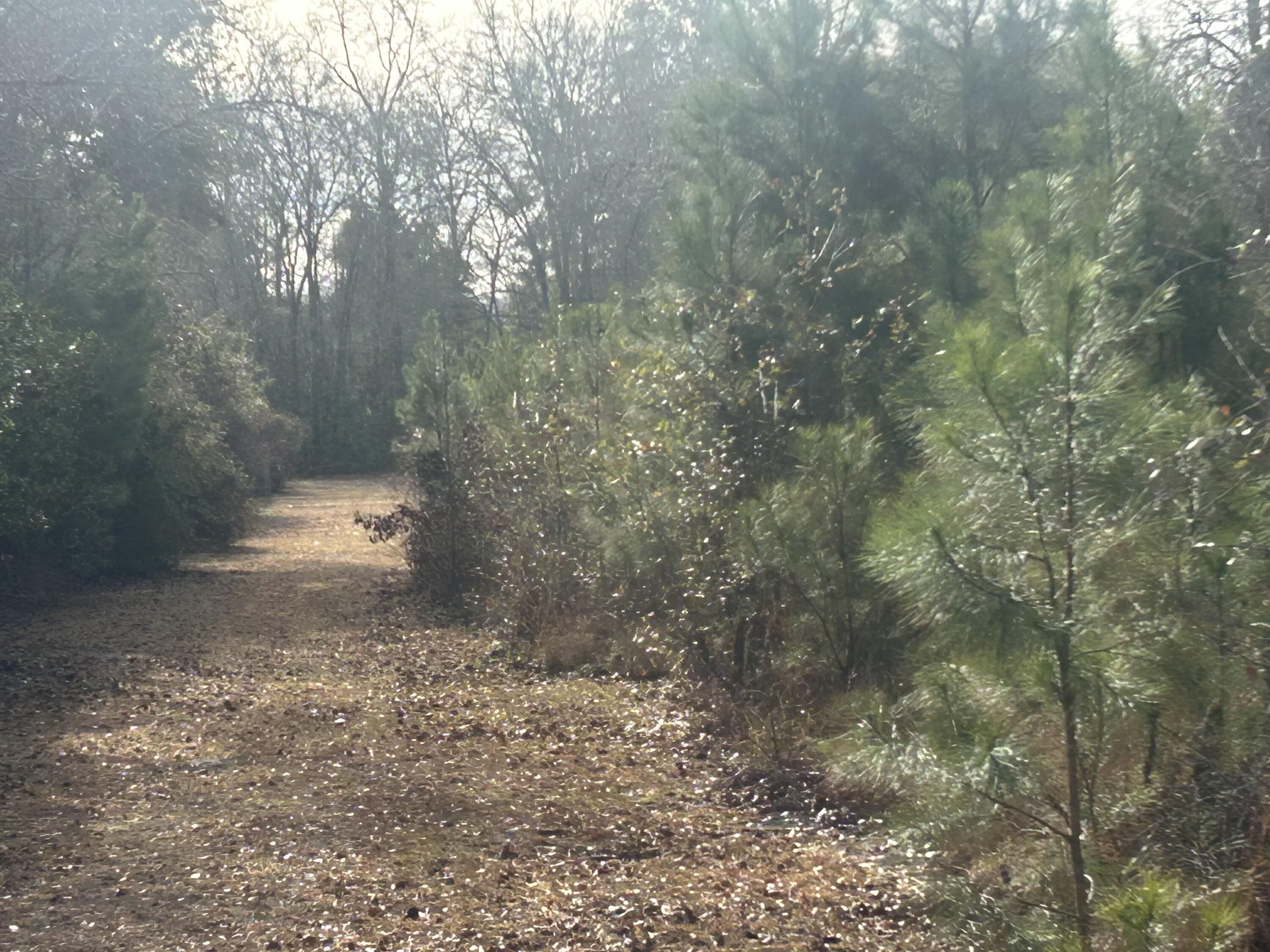 1 Old Jacksonboro Road Ravenel SC 29470
