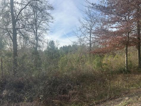 1 Old Jacksonboro Road Ravenel SC 29470