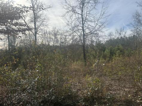 1 Old Jacksonboro Road Ravenel SC 29470