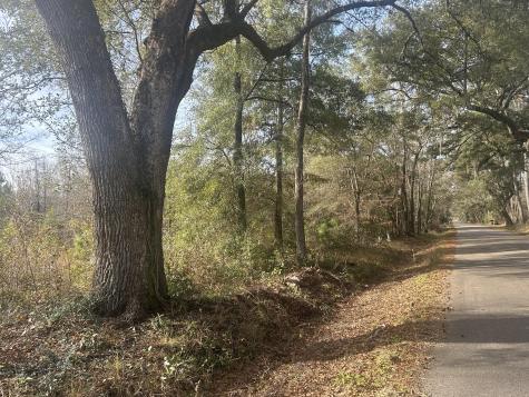 1 Old Jacksonboro Road Ravenel SC 29470