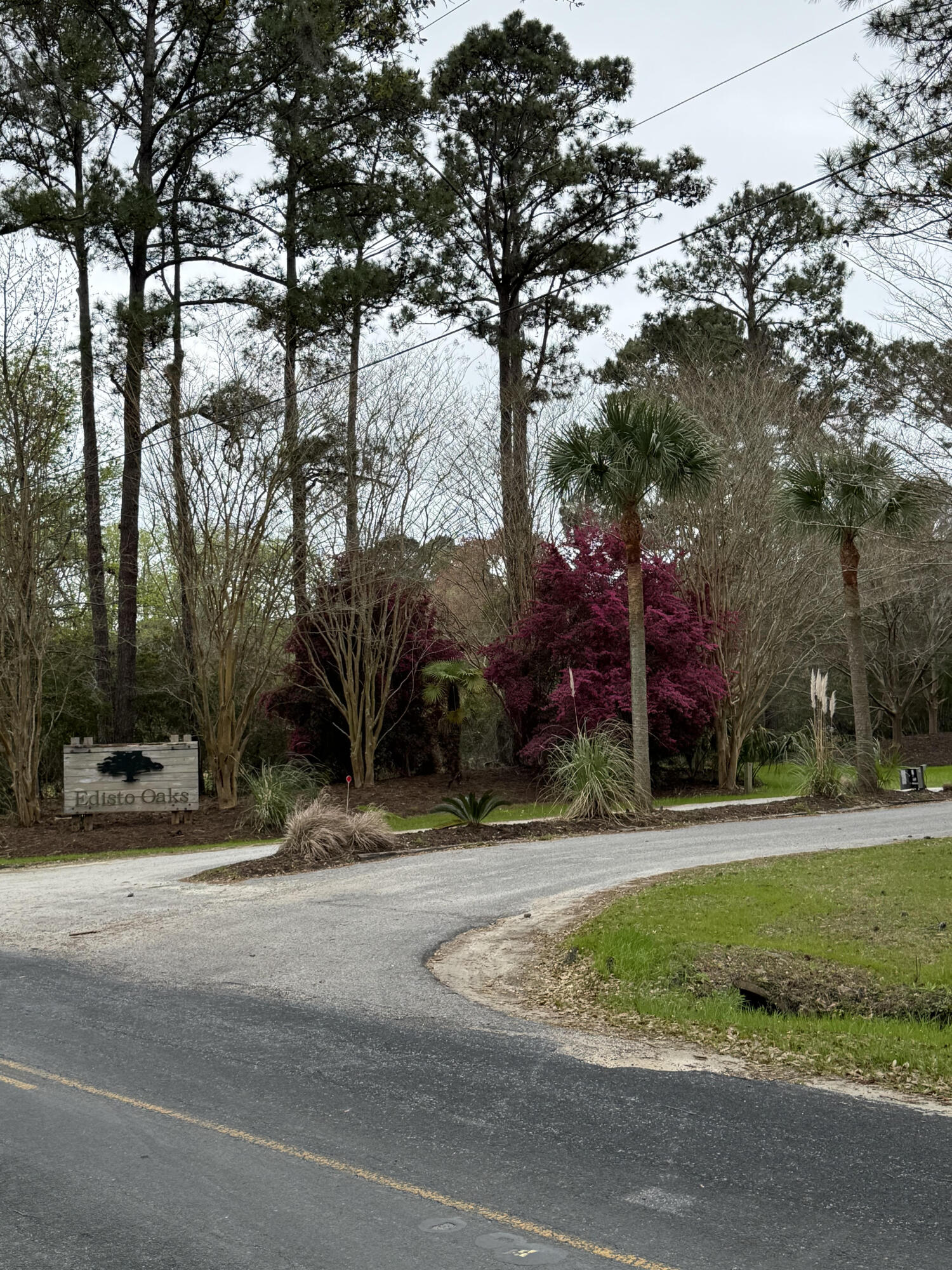 49 Seaside Lane Edisto Island SC 29438