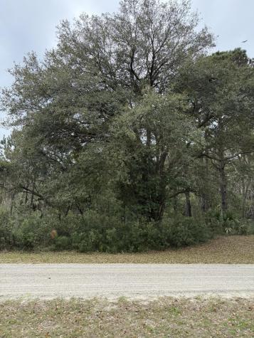 49 Seaside Lane Edisto Island SC 29438