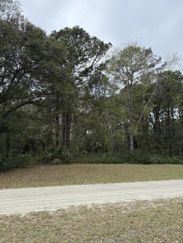 49 Seaside Lane Edisto Island SC 29438