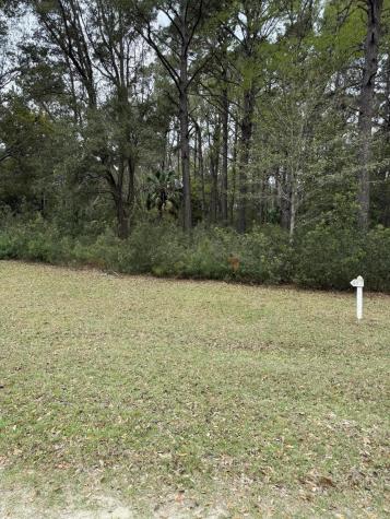 49 Seaside Lane Edisto Island SC 29438