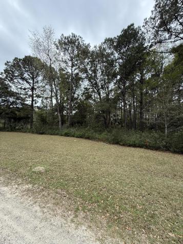49 Seaside Lane Edisto Island SC 29438