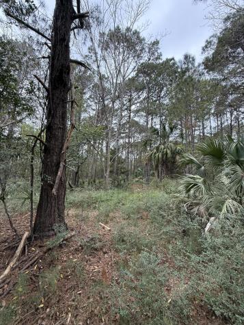49 Seaside Lane Edisto Island SC 29438