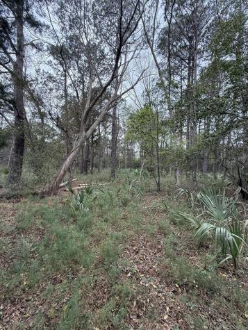 49 Seaside Lane Edisto Island SC 29438