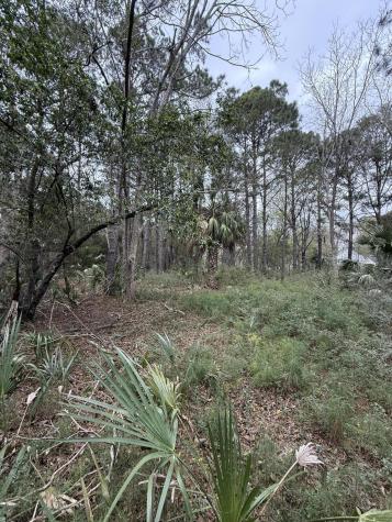 49 Seaside Lane Edisto Island SC 29438