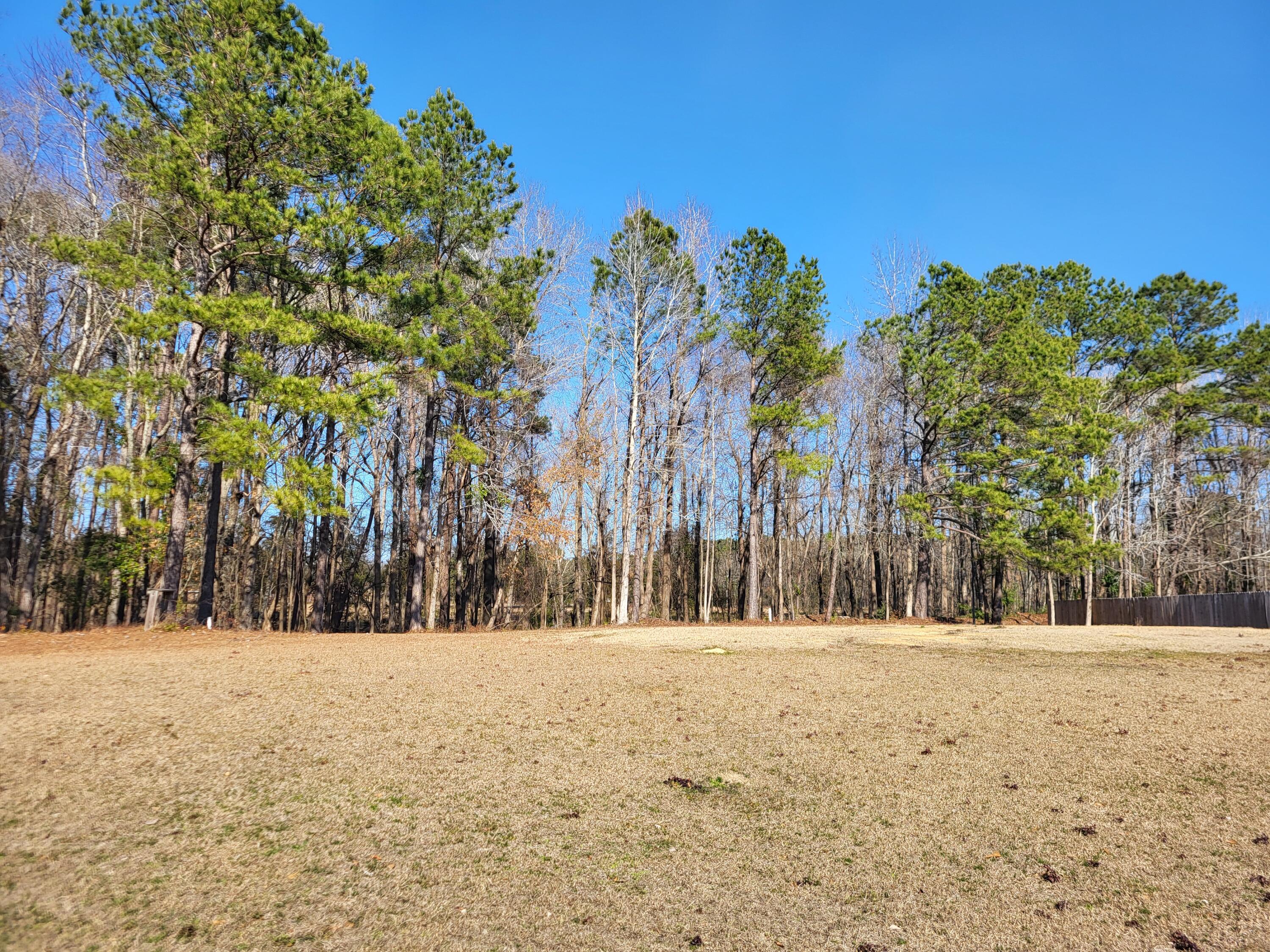 Lot 2 Santee Lumber Road Santee SC 29142