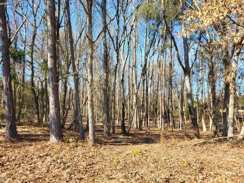 Lot 2 Santee Lumber Road Santee SC 29142