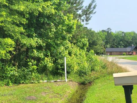 0 Estate Court Orangeburg SC 29115