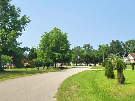 0 Estate Court Orangeburg SC 29115