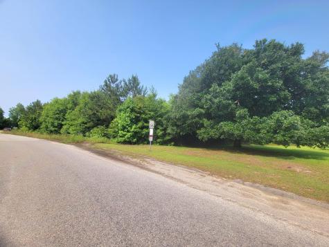 0 Estate Court Orangeburg SC 29115