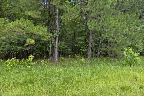 406 Myers Road Summerville SC 29486