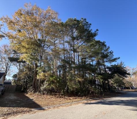 222 Jasmine Drive Summerville SC 29483